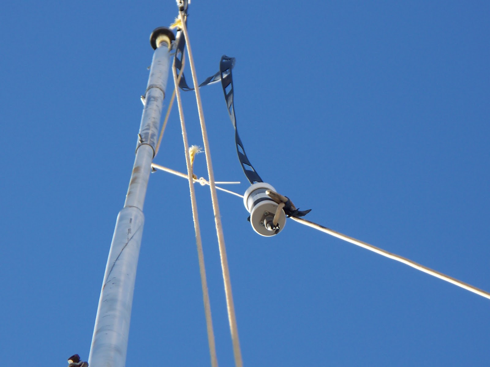 W5ZO Extended Double Zepp a new look