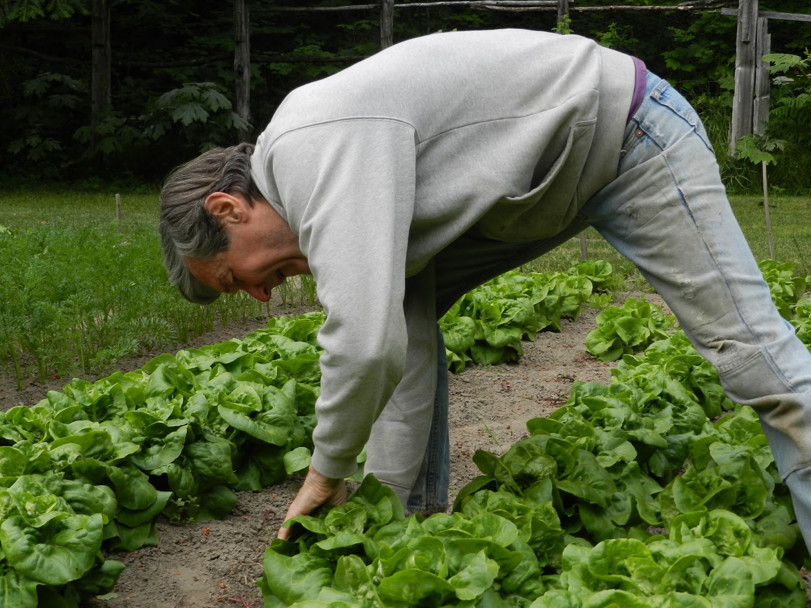 Stehekin Heritage One Man, One Acre, Feeding Hundreds Karl's Garden