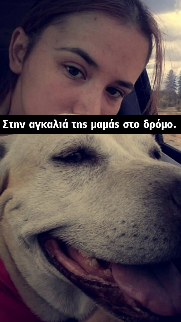 Οι τελευταίες στιγμές μίας γέρικης σκυλίτσας. Οι φωτογραφίες που συγκλόνισαν το διαδίκτυο! σκυλίτσα γέρικη σκυλίτσα