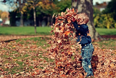 Frasi Sull Autunno Per Bambini Elementari