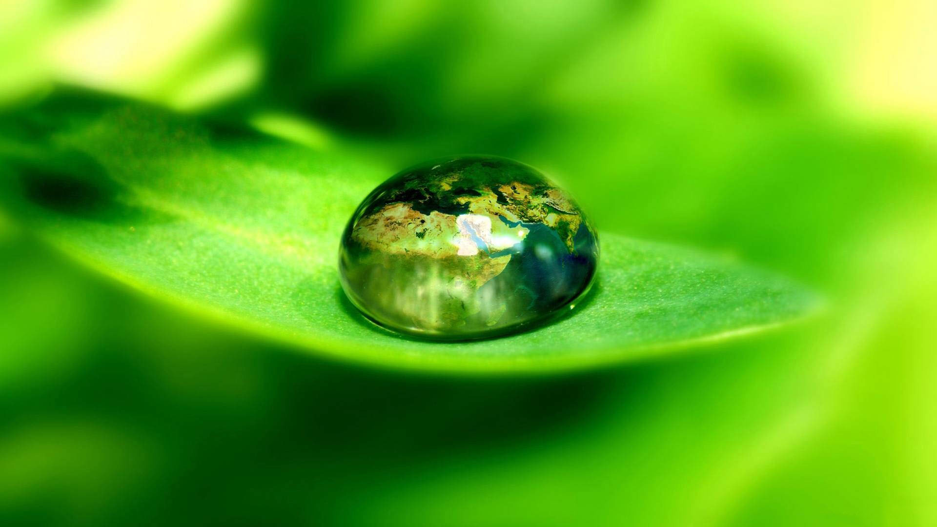 Water Drop on Leaf Wallpaper
