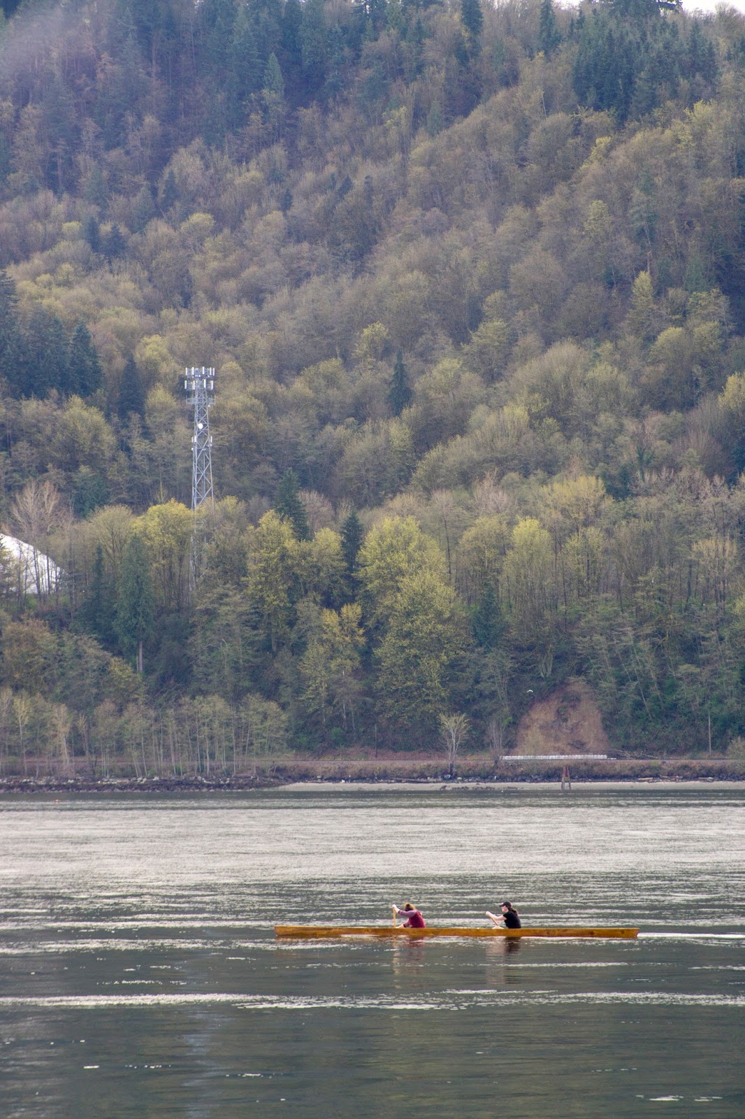 kalimar mc auto zoom 80 200mm