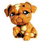 Littlest Pet Shop Singles Bulldog (#719) Pet Littlest Pet Shop Singles Bulldog (#719) Pet