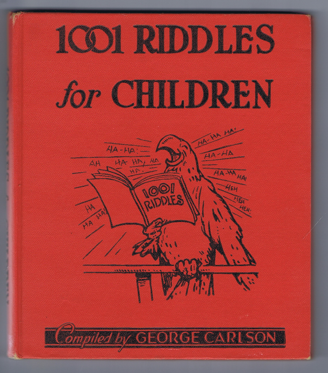 Scary Terry's World: 1001 Riddles by George Carlson