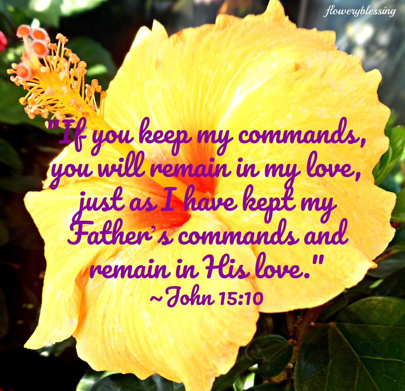 flowery-blessing-if-you-keep-my-commands-you-will-remain-in-my-love