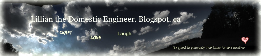 Lillian the Domestic Engineer. Blogspot.ca