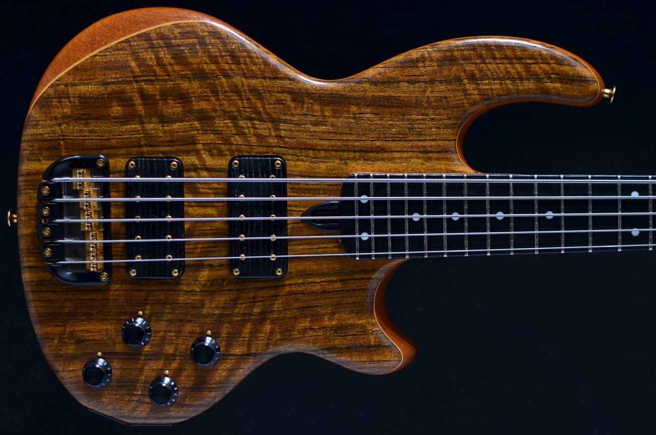 A HISTORY OF WAL BASSES Gallery Wal MB5 5String Midi Bass