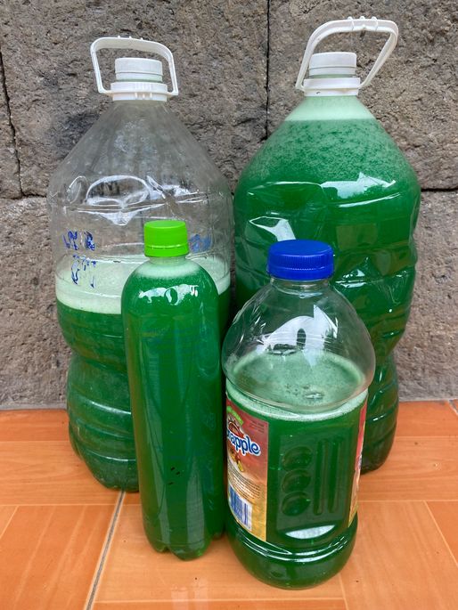 Wise Cleaner DIY Kits The Smart Choice For Home Cleaning Products