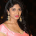 Actress Roshini Latest Photo Gallery