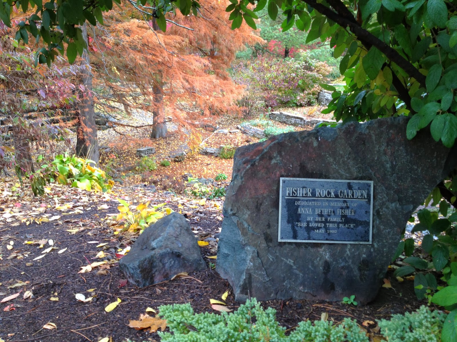 Nelson Park Fall 2013