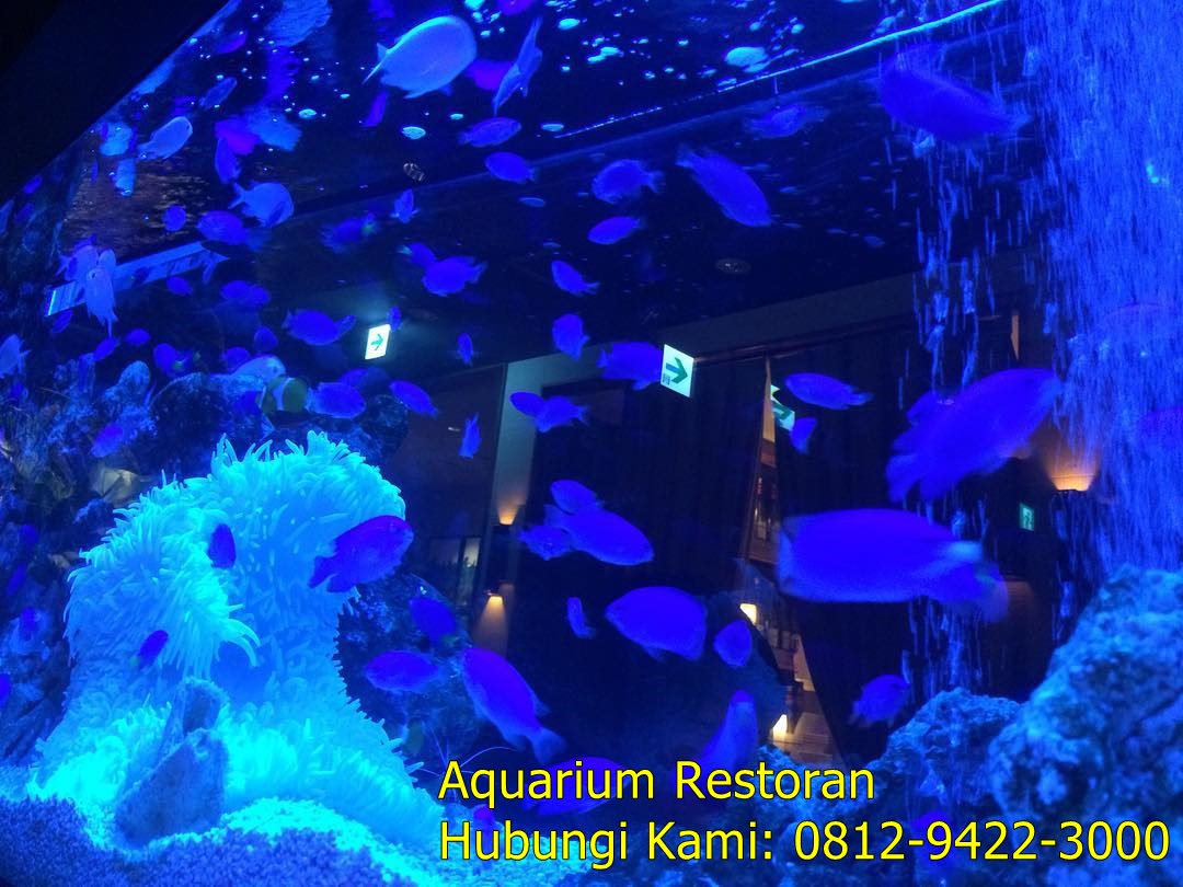 Aquarium Restoran Jasa Pembuatan Aquarium Restoran di Tangerang