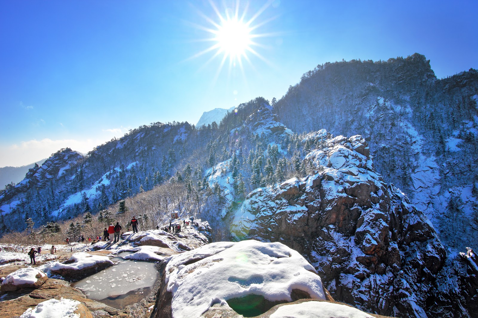 JJ.OO. de Invierno Pyeongchang 2018 la fauna de Corea. JJ.OO. de Invierno Pyeongchang 2018 la fauna de Corea.
