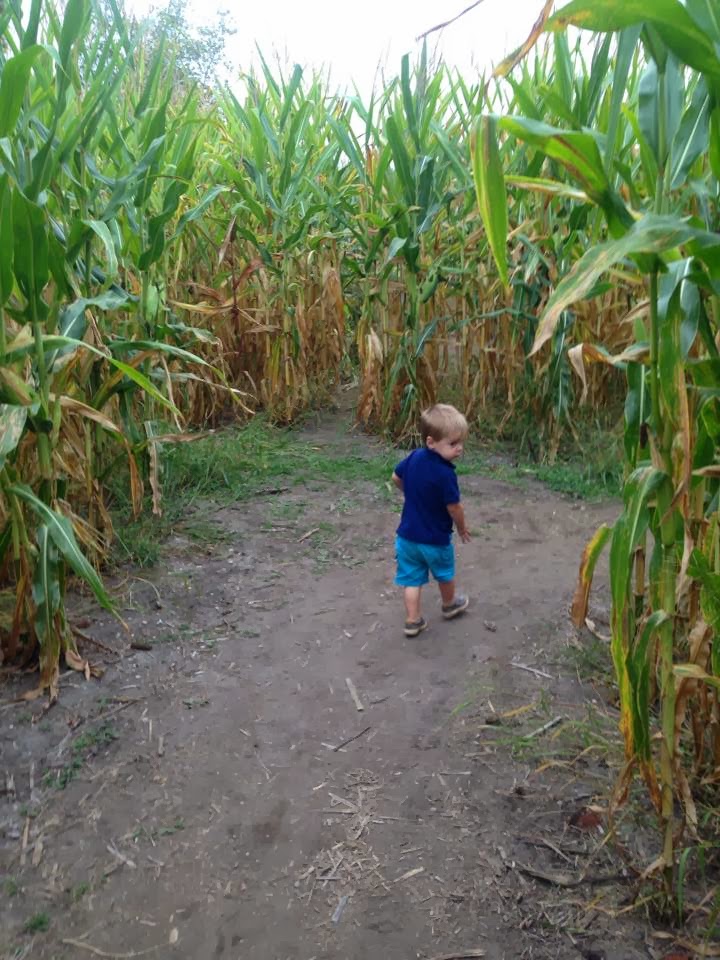 Some Sugar Added Argos Farm