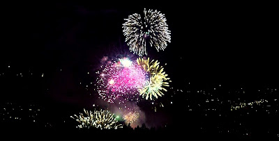 Fireworks display lights up the night sky
