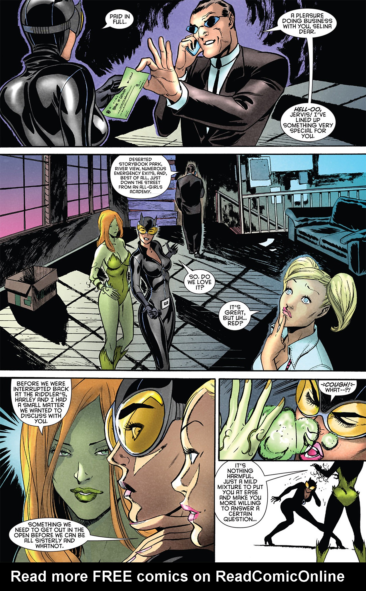 Read online Gotham City Sirens comic -  Issue #1 - 23