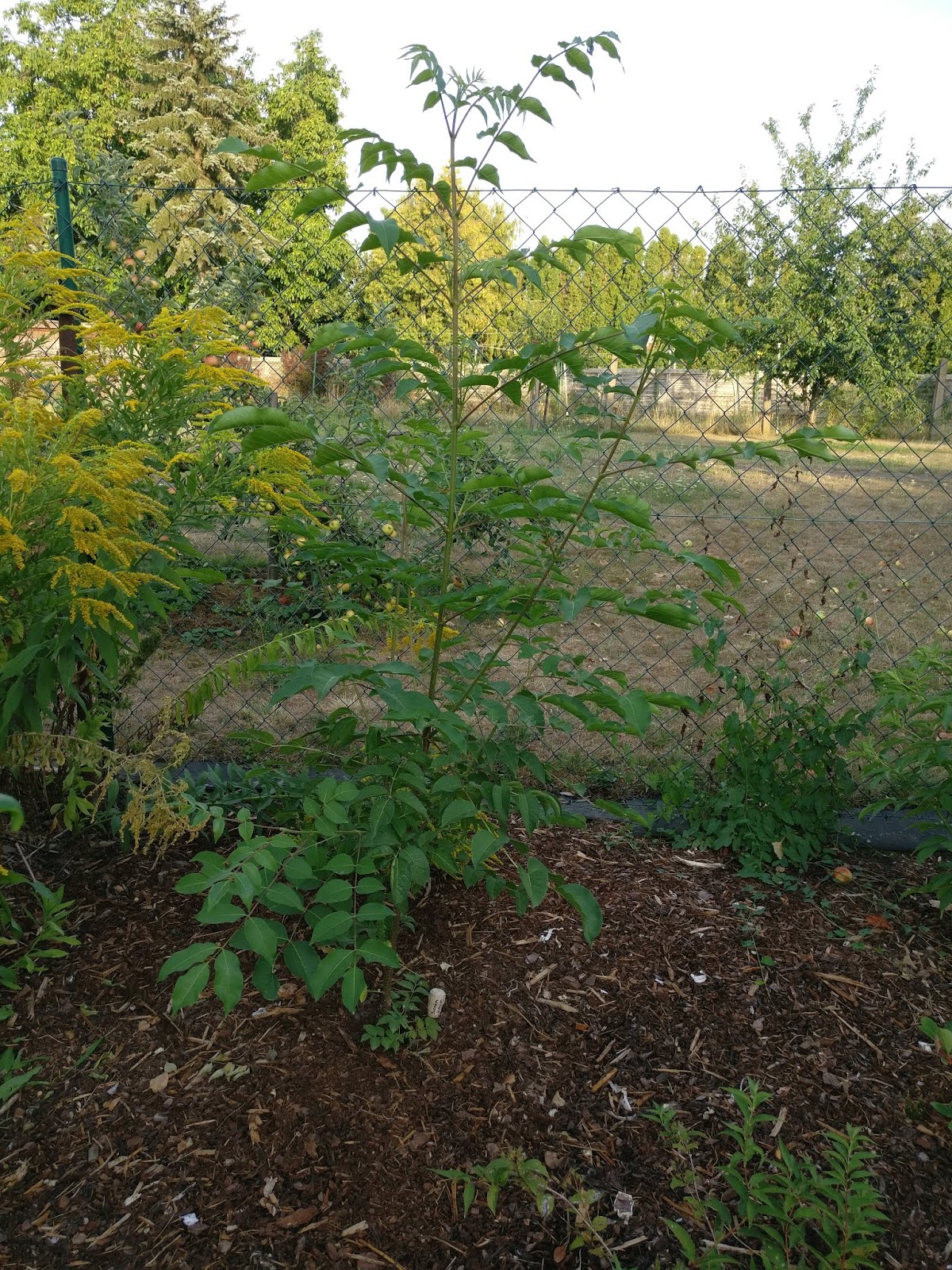 Garten Haus Und Gartenhaus 2018