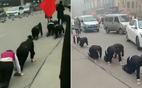 Outrage as Company Humiliates Staff by Forcing Them to Crawl on Busy Street for not Meeting Targets (VIDEO)