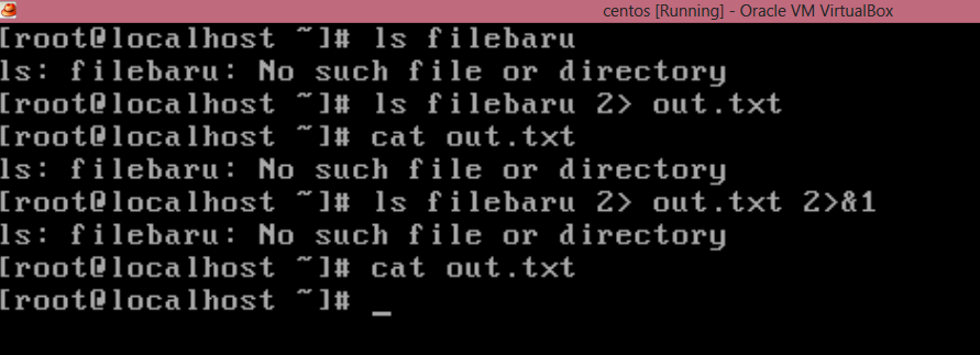 No such file or directory file txt