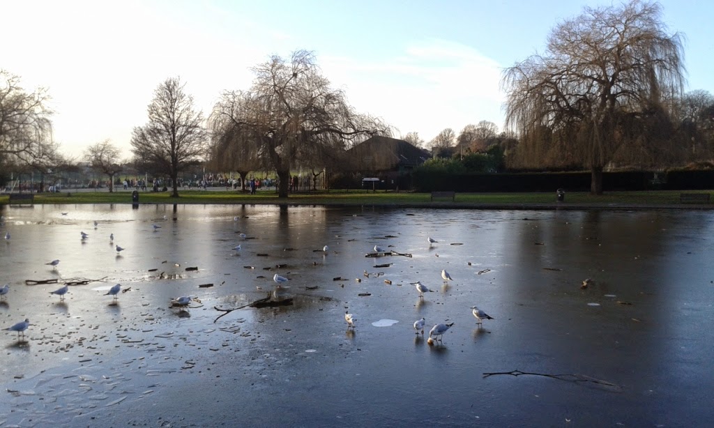 One of the frozen ponds at Broomfield Park in Palmers Green, London