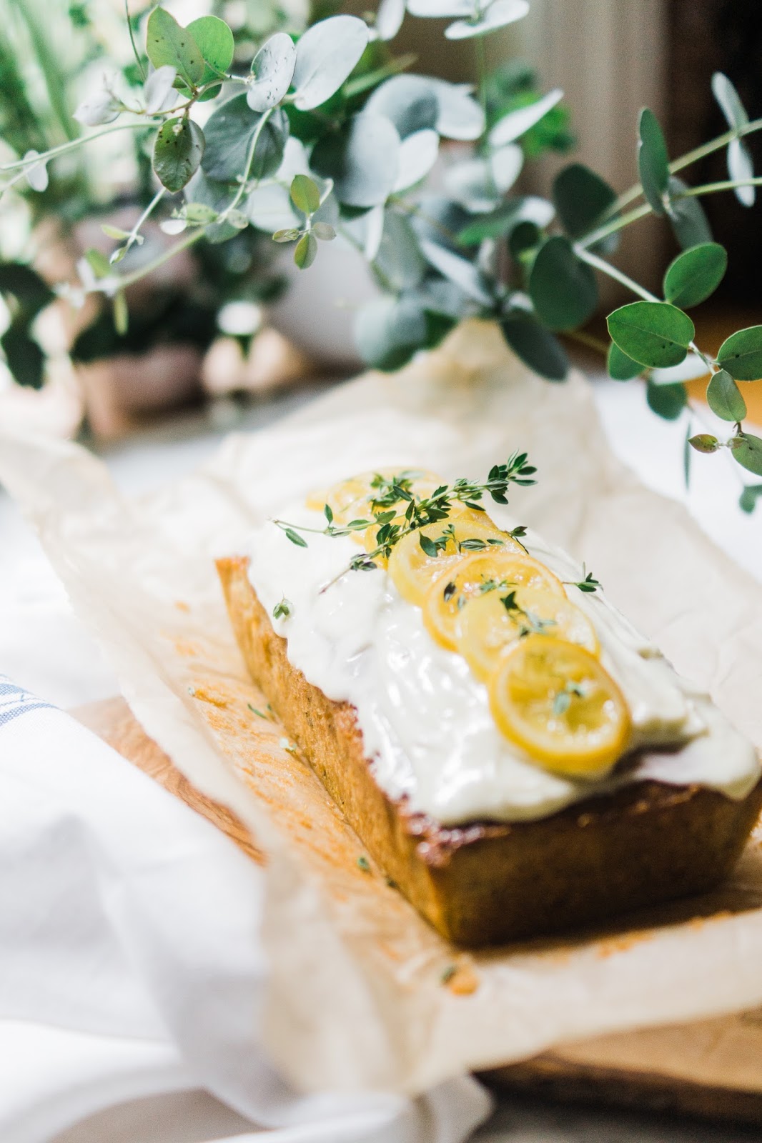 lemon-thyme-courgette-cake-recipe-food-photography