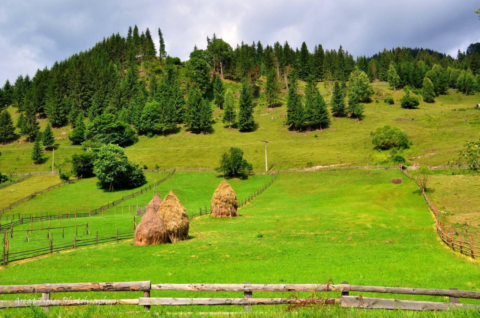 Ortoaia, Suceava | Great Times Photography