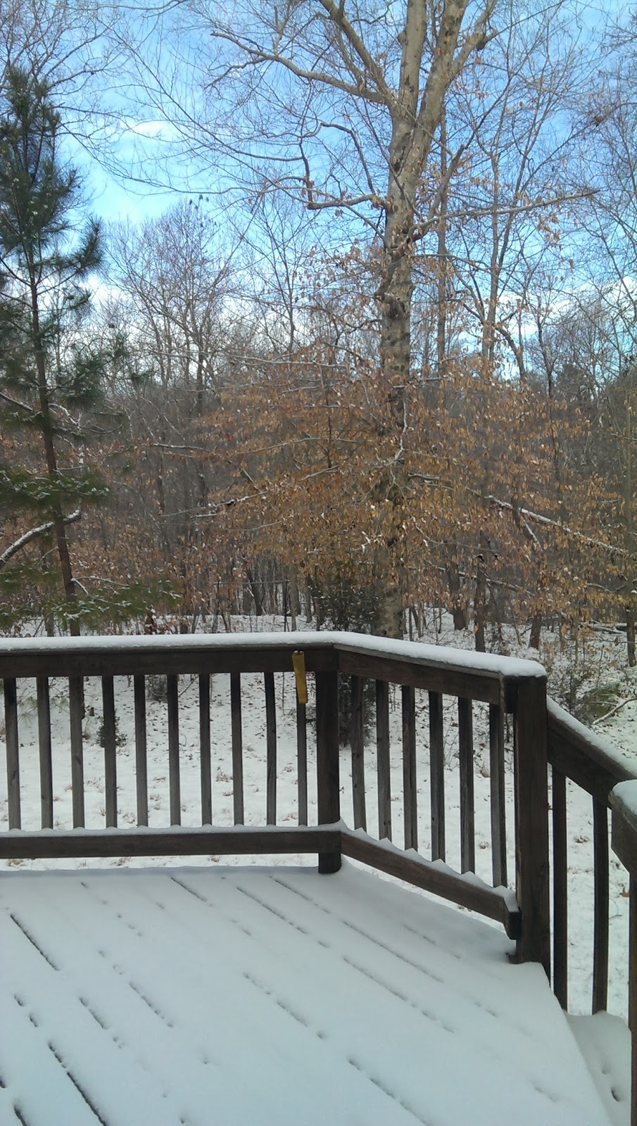 snow on the deck and back yard