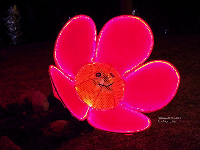 All-Too Pretty Giant Flower Pink Lantern