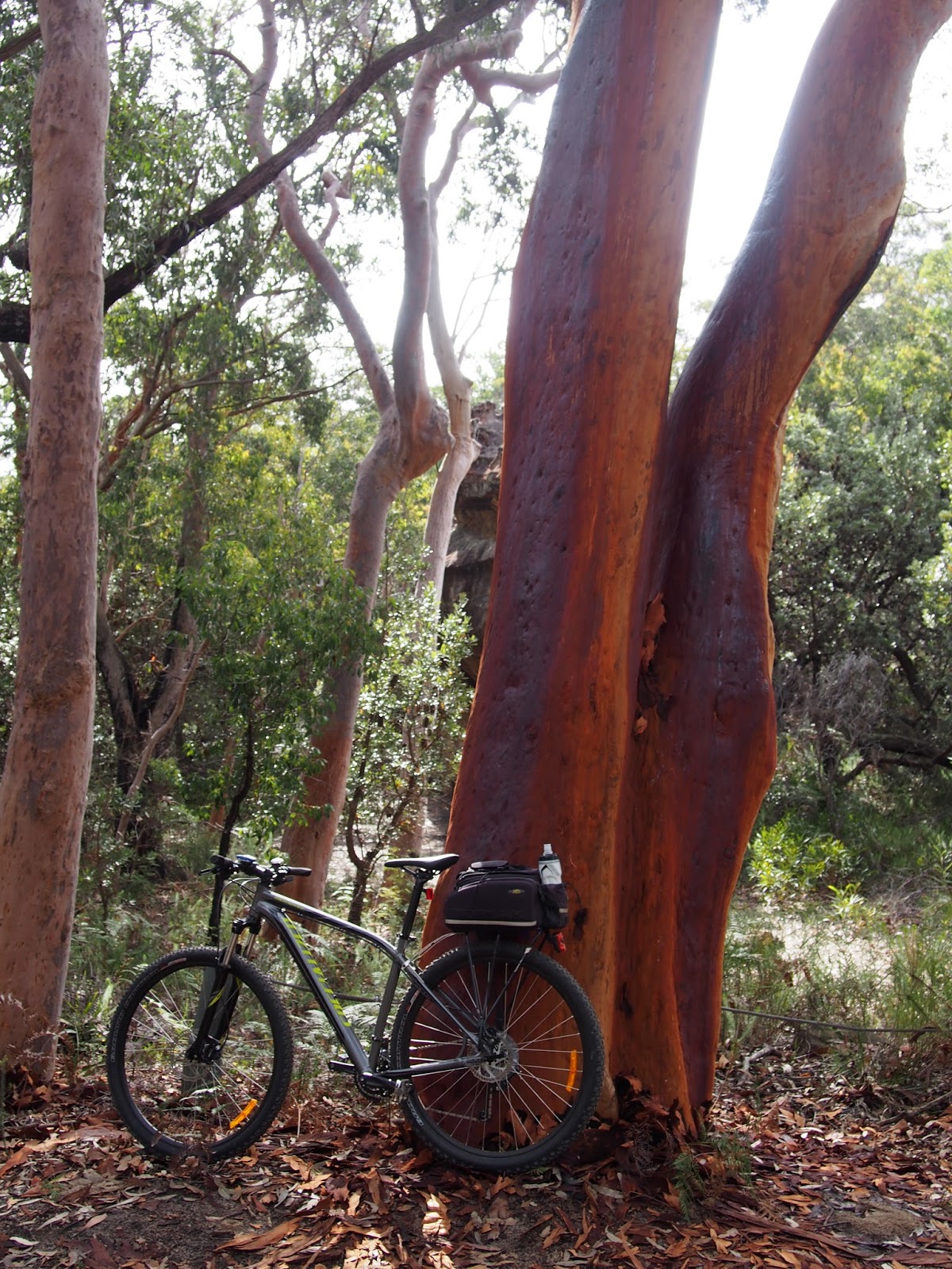 road bike rides near me