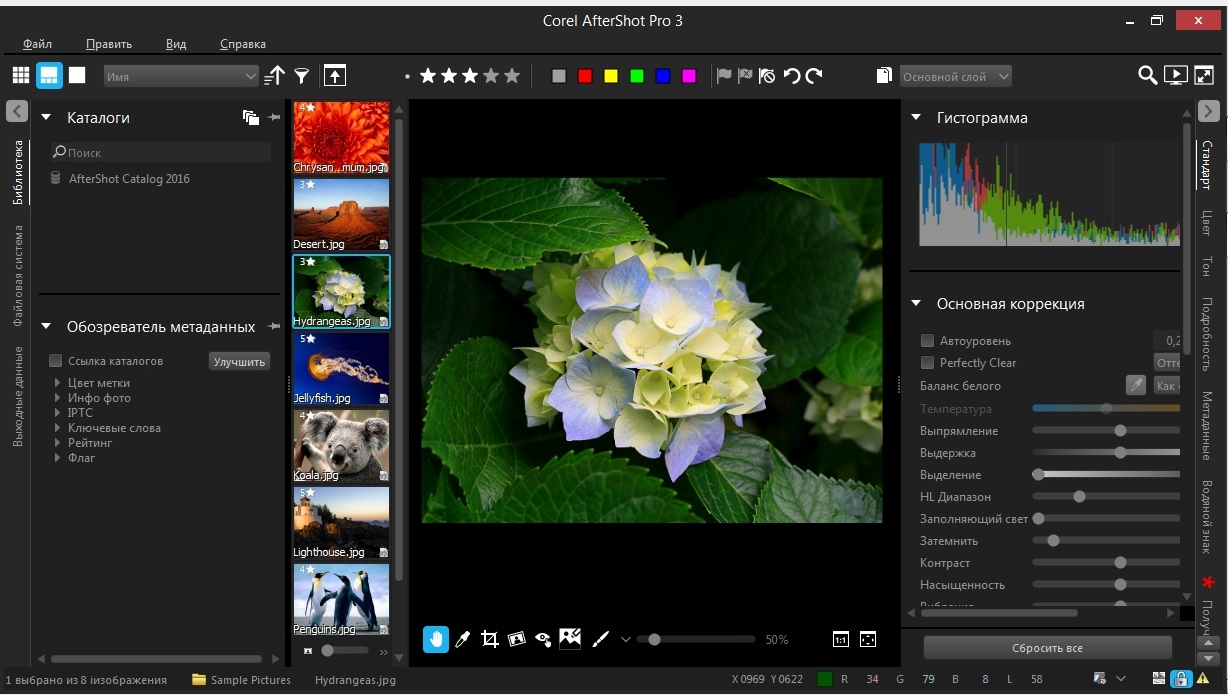 corel aftershot pro torrent corel aftershot pro torrent