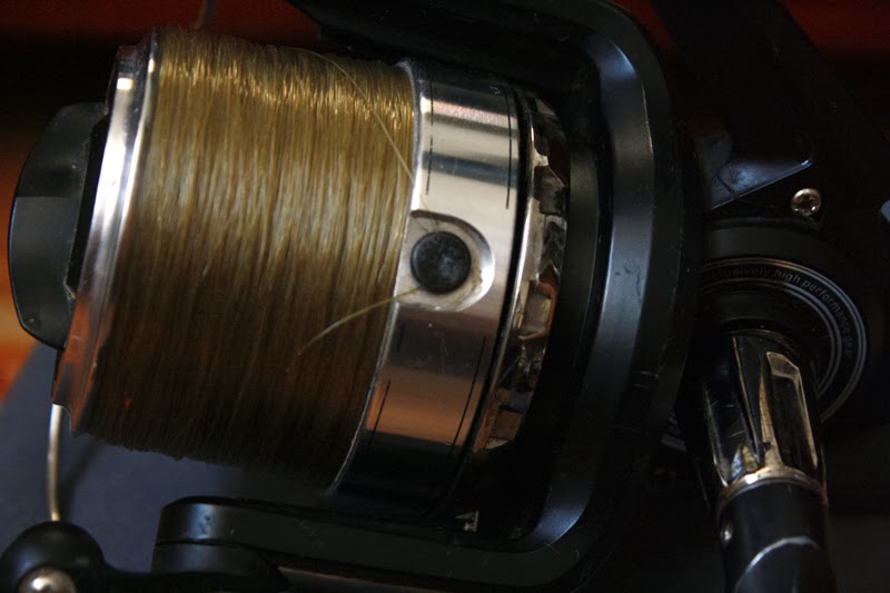 daiwa crosscast x 5000