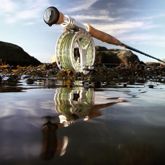 Choisir sa canne pour la pêche en mer