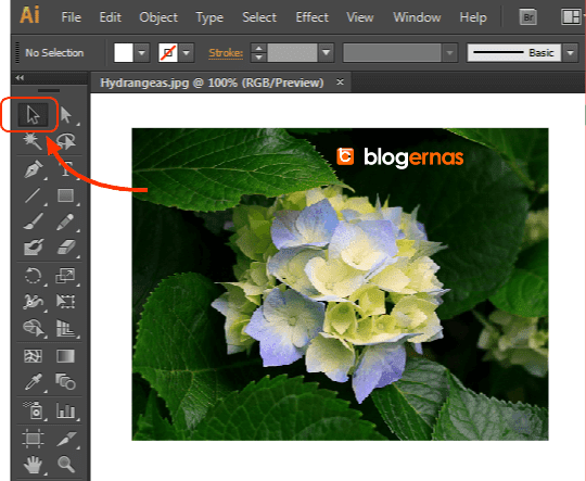 Cara Mengubah Ukuran Foto dg Adobe Illustrator