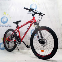 Sepeda Gunung Triojet Iconic 1.0 24in