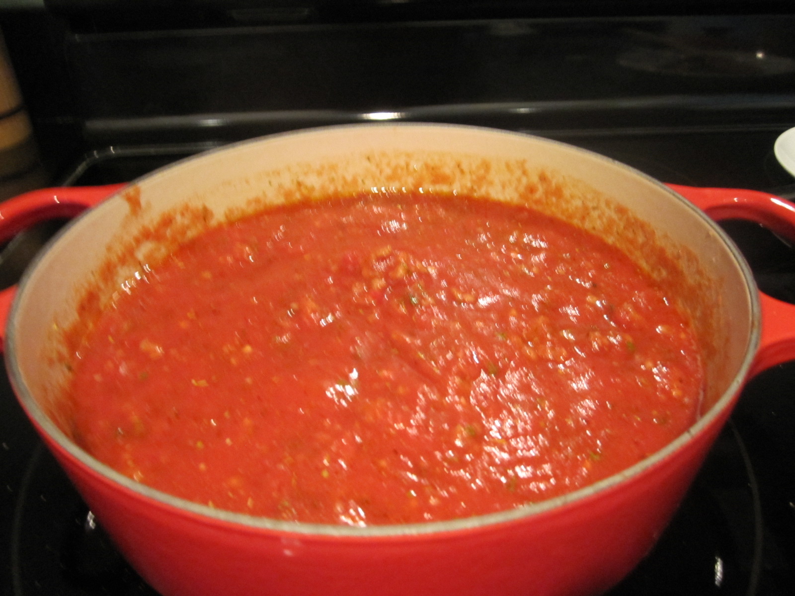 Sophie in the Kitchen Lasagna with Homemade Tomato Sauce