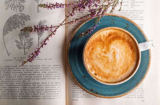 Download Gratis Gambar 100 Kata Caption Bijak Tentang Kopi Yang Romantis Dan Inspiratif Terbaru oleh KataCinta.Co