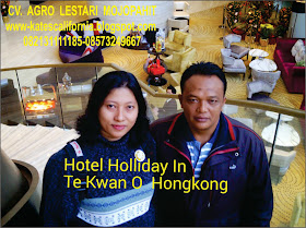 http://www.indonetwork.co.id/lestari_j4y4/group+111925/pintu-harmonika.htm