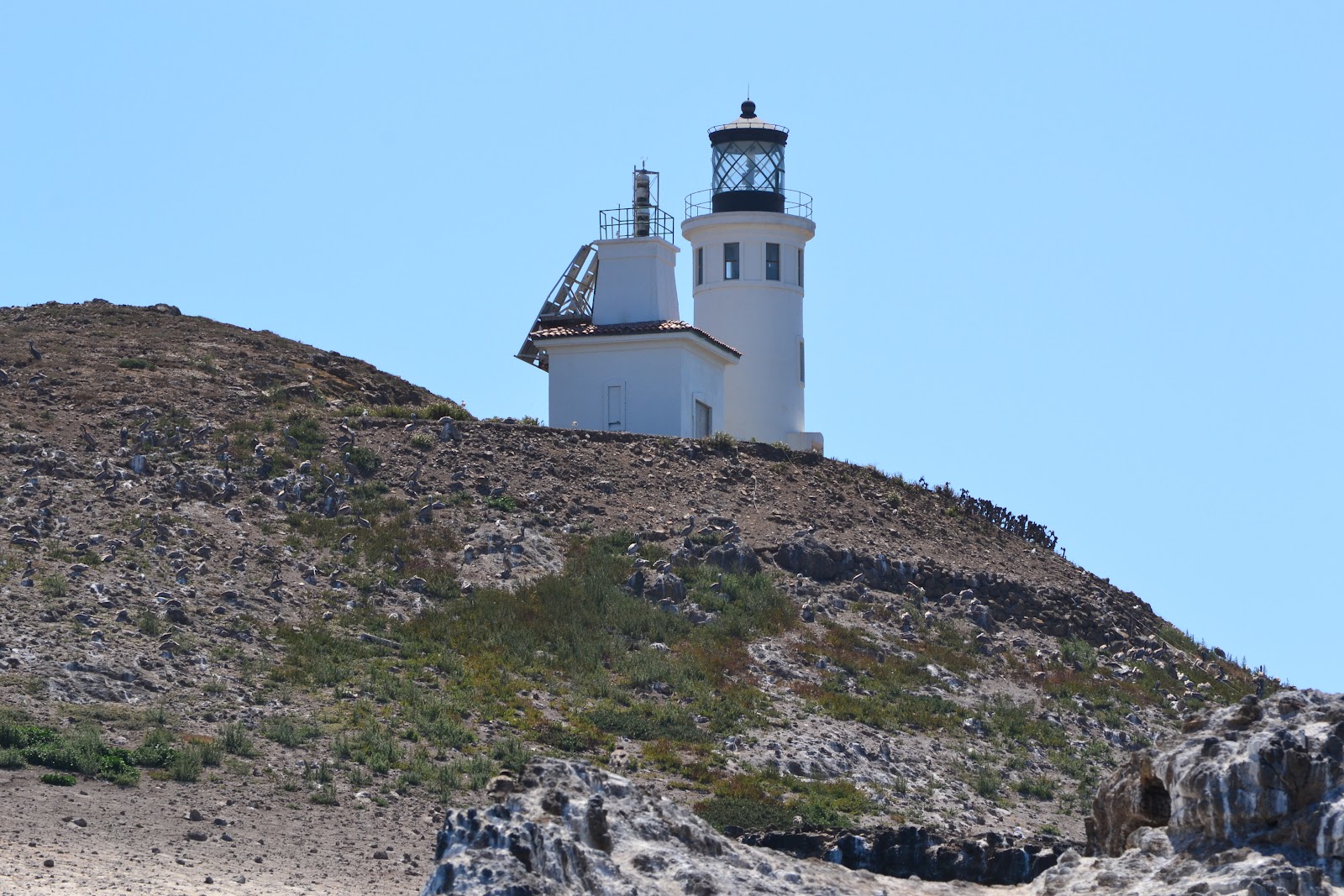 Nanda & Nathan The Travellers Anacapa Island, CA
