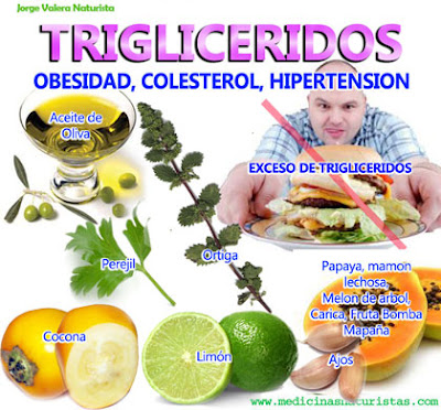 como bajar los trigliceridos descubre como bajar los trigliceridos