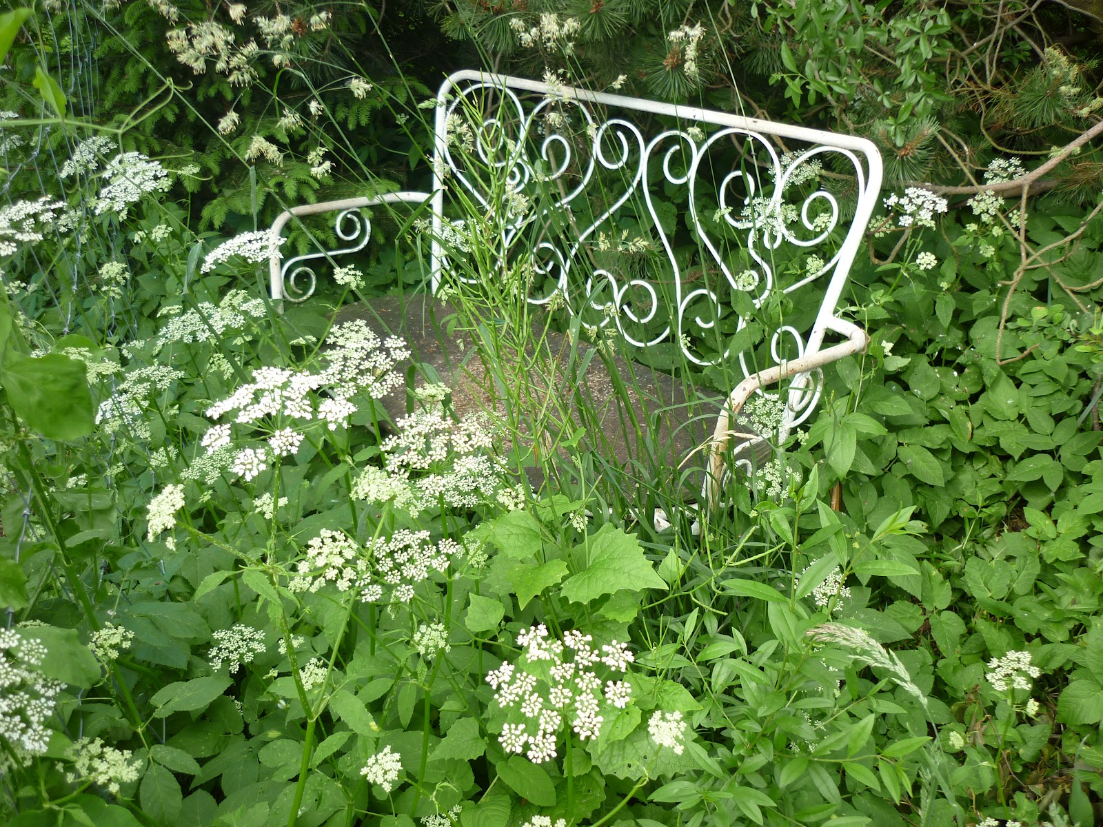 Min Haves Floraog Dyreliv: Havetur