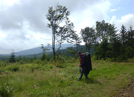 Beskid Krzyżowski (923 m n.p.m.). W tle widać Pilsko.