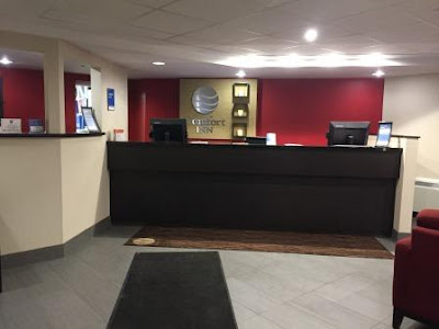 Teena In Toronto Comfort Inn Pickering On