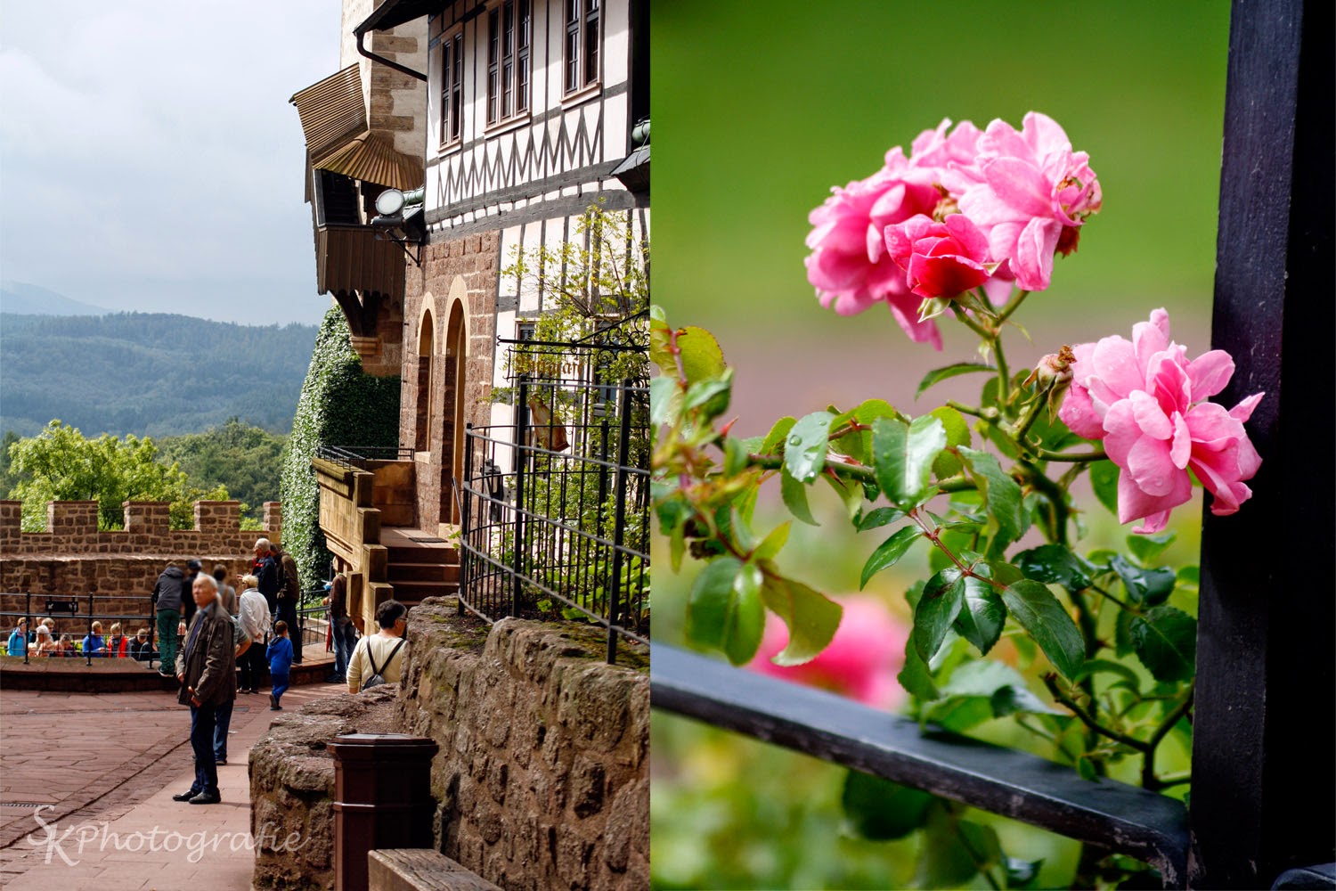 Blog Der Hainich Wildnis Als Kulturprodukt Der Freitag