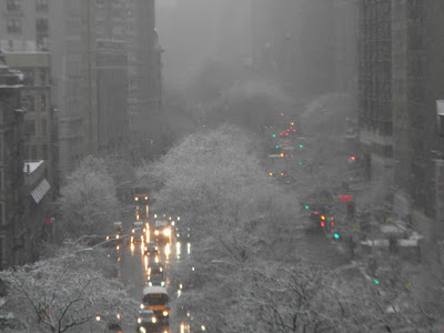 snow storm new york city