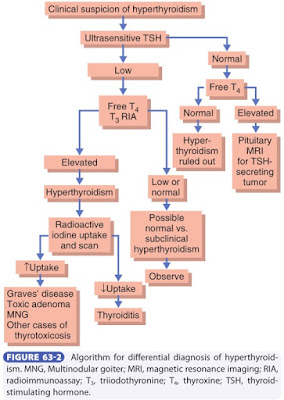 Hospital Student: HYPERTHYROIDISM
