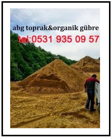 Atilim Budama 0531 935 09 57 Kadikoy Agac Budama Fiyatlari Sirketleri Firmalar Kesim Isleri Yapanlar 2018