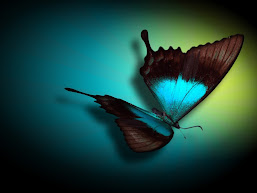Saiba um pouco sobre a importância da borboleta azul para o blog...