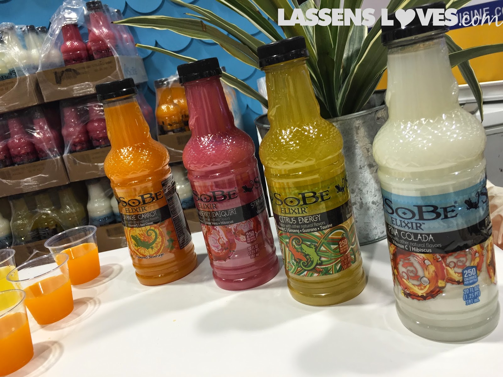 Expo+West+2015, Natural+Foods+Show, New+Natural+Products, sobe+elixir
