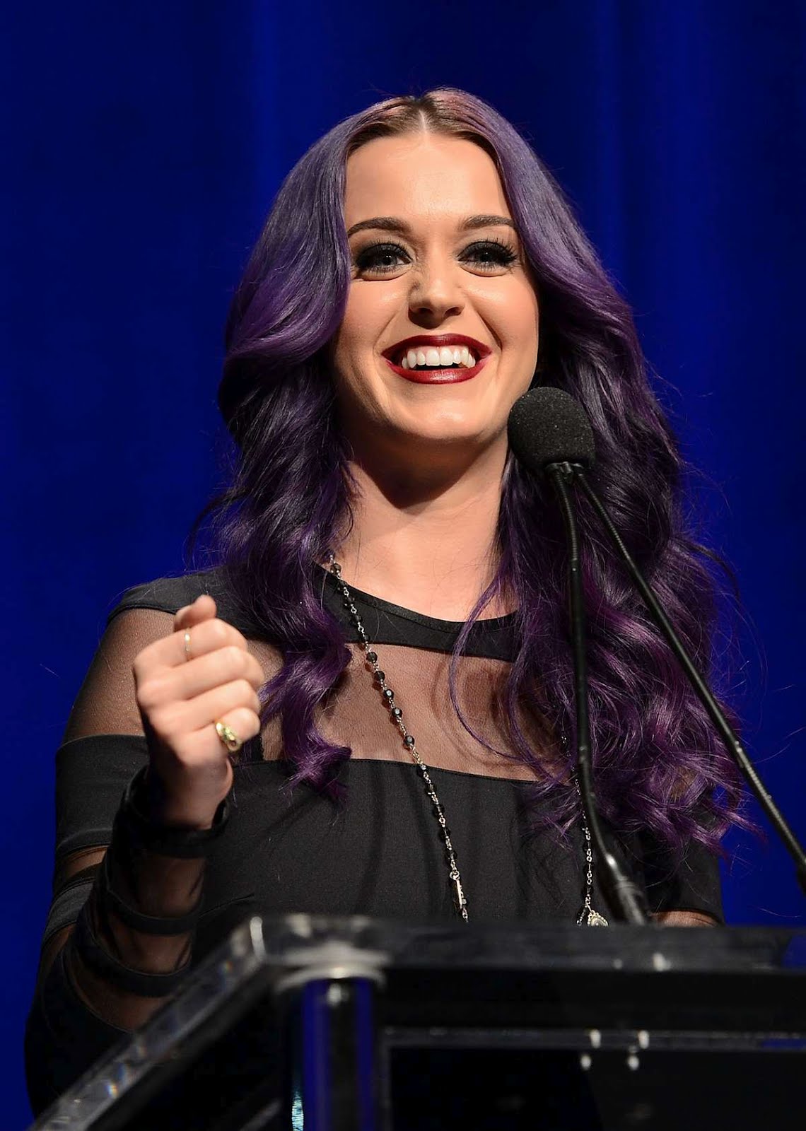 Katy Perry: 2012 NARM Music Awards