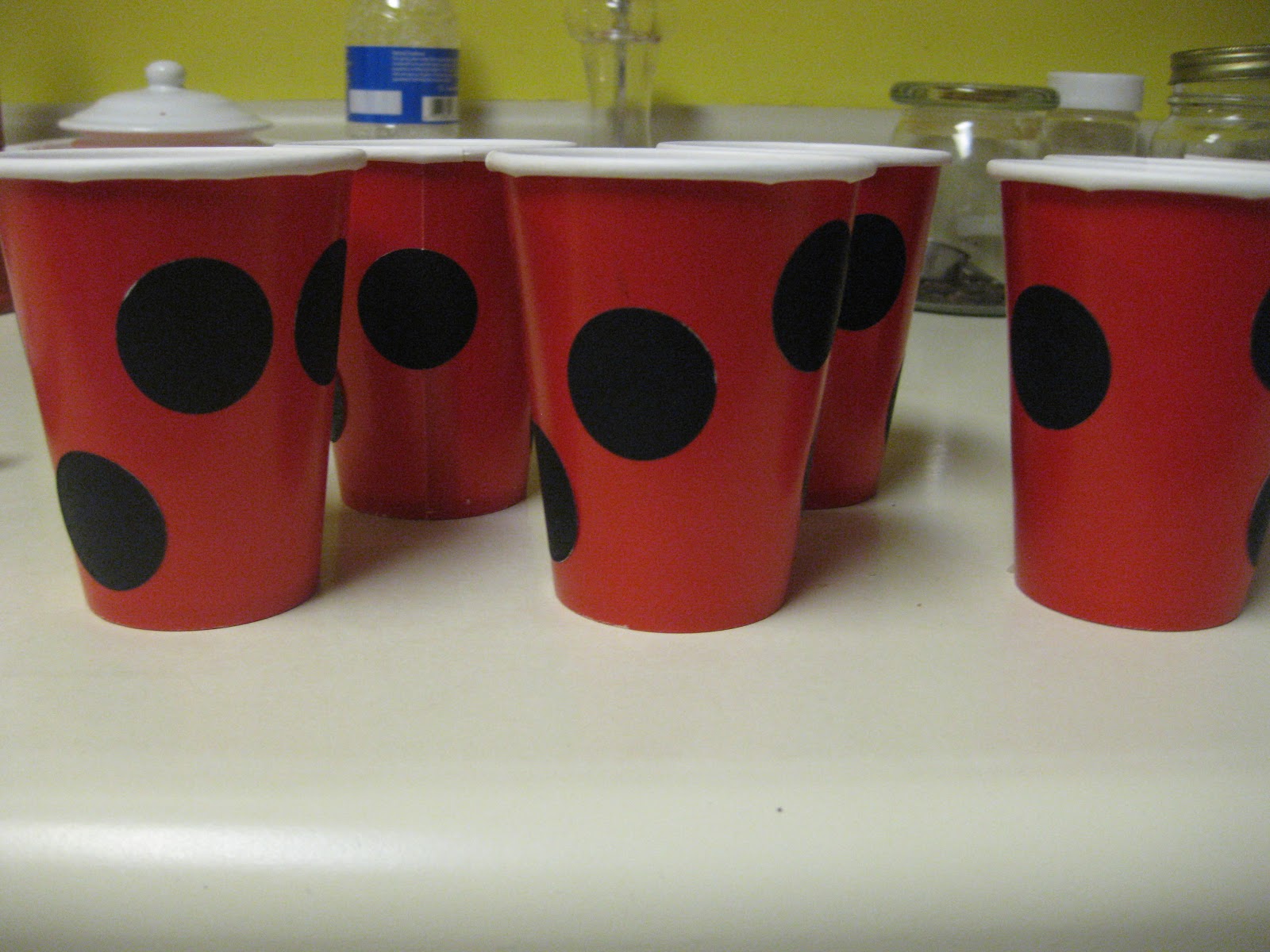 Finding Life's Harmony: Ladybug Party