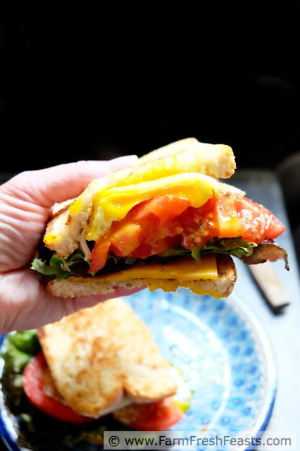 Grilled cheese meets a fried egg then mashes up with a BLT. This colorful sandwich recipe rocks 3 classics in one delightfully messy handful.
